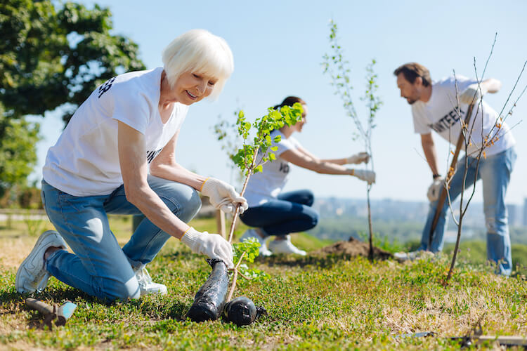 Senior volunteer opportunities include organizing a fundraiser.