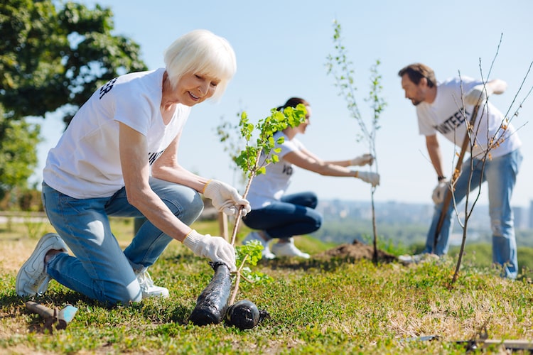 Become a Senior Volunteer