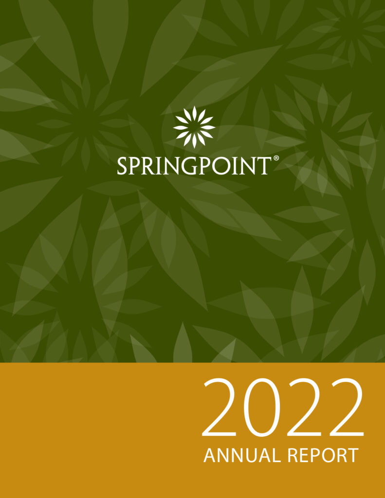 2022 annual report for Springpoint