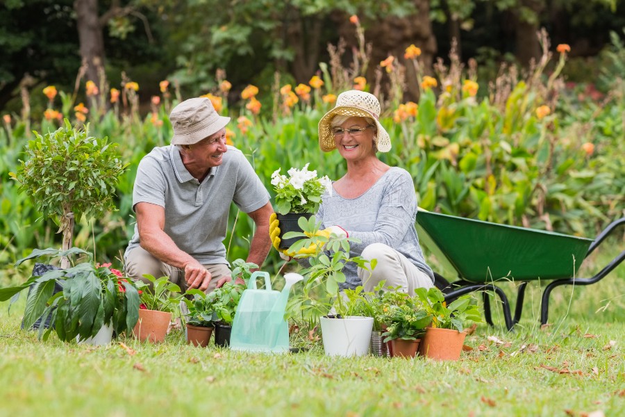 Happy senior couple gardening on a sunny day