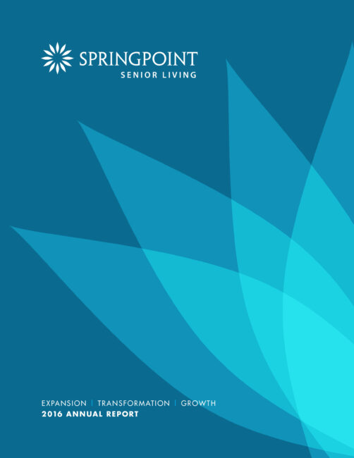 2016 springpoint annual report cover 1 502x650