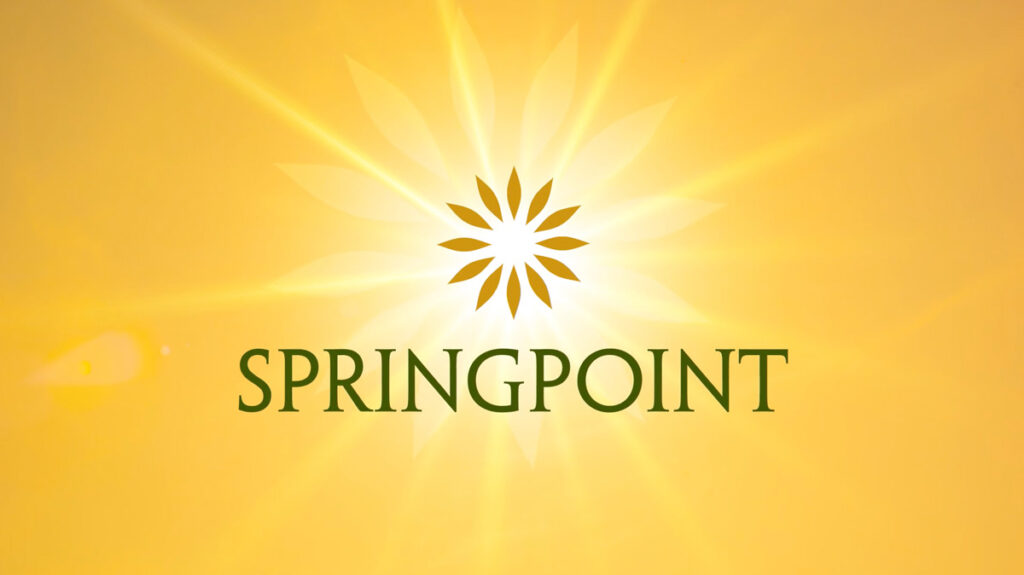 Learn About Springpoint Overlay