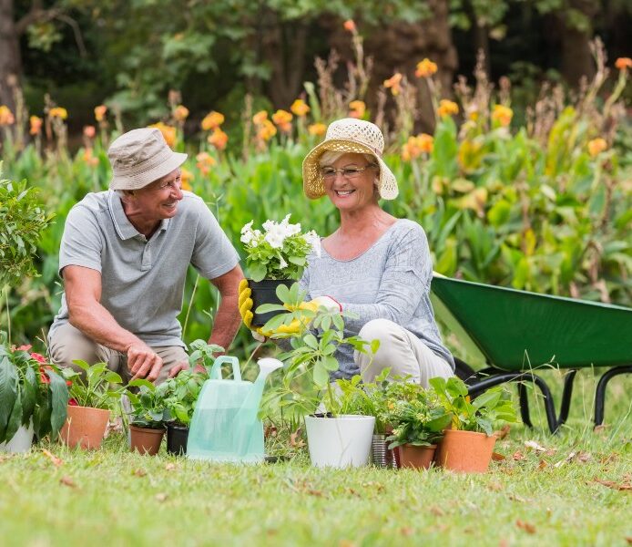 Seniors Gardening