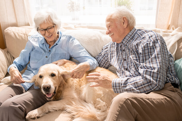 A senior couple with their dog in a pet-friendly senior living community.