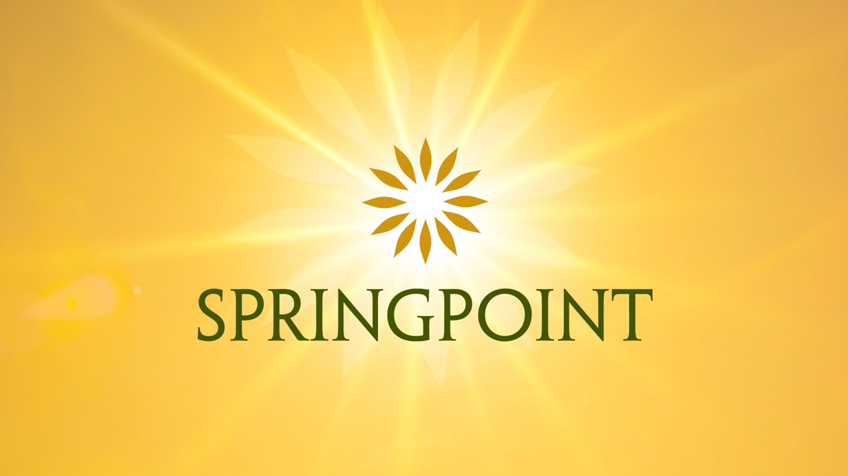 Learn more about Springpoint link