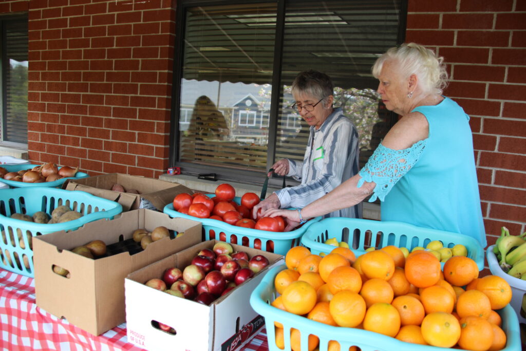 Two older women picking tomatoes from a table of produce.