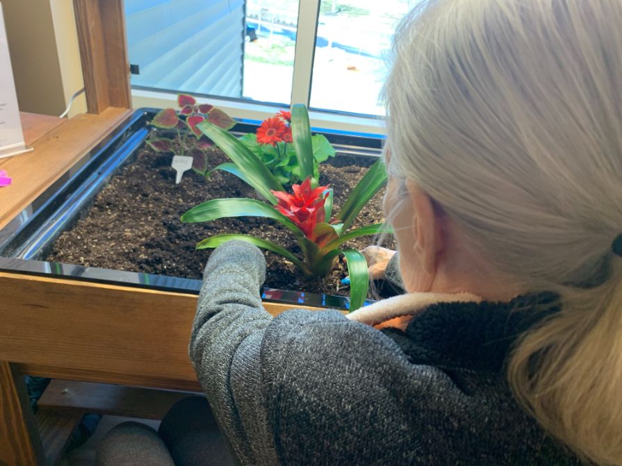 New Mobile Therapeutic Sensory Garden at Springpoint Engages Residents Cognitively and Creatively