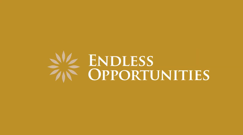 Endless opportunities banner